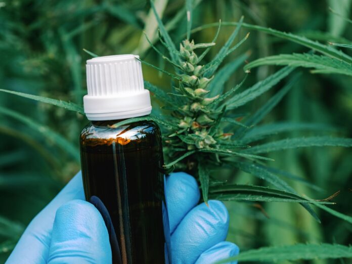 Cannabis